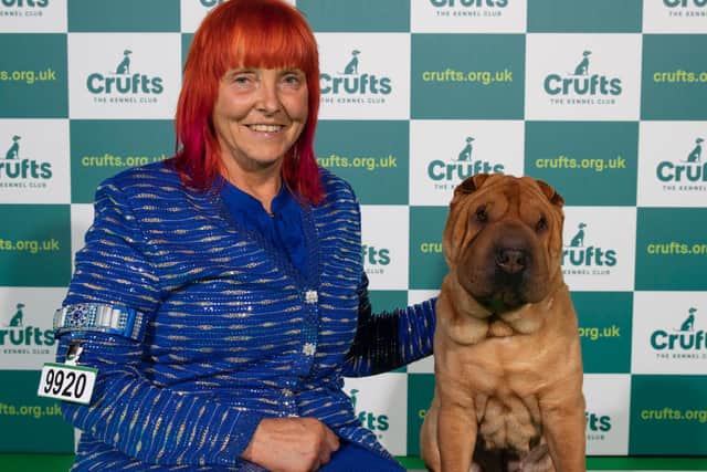 Sharon Sutherland won Best of Breed with her Sharpei, Crumbs