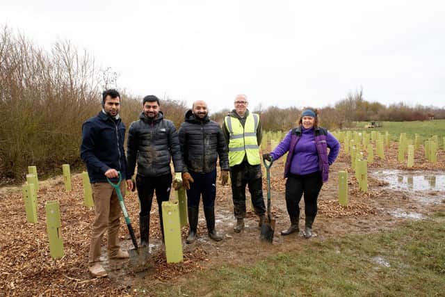 Tree planting at Middleton Meadow