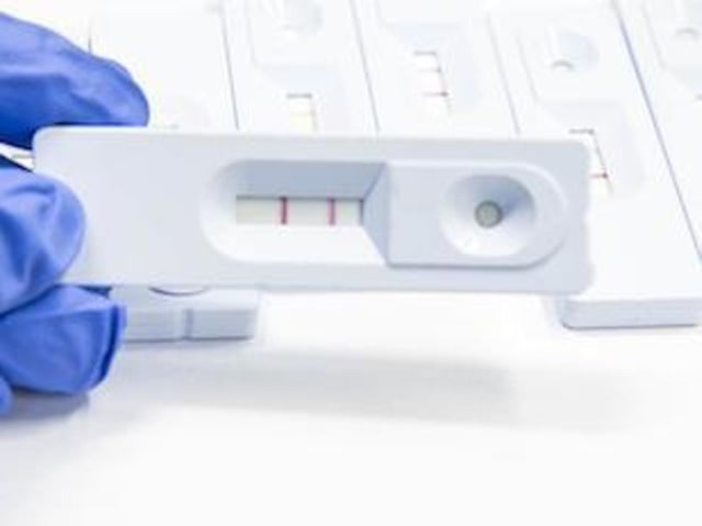 Free rapid result tests are available