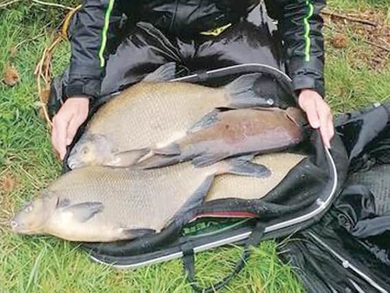 Maver MK's Ian Smith: eight bream to 9lb+ at Ferry Meadows