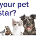 Milton Keynes Top Pet competition closes this Friday