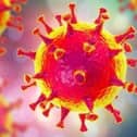 Virus