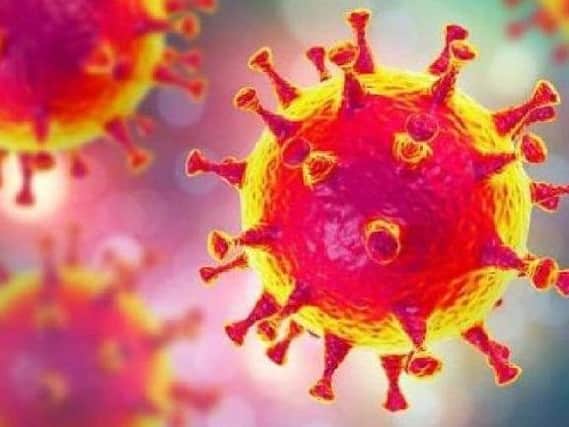 Virus