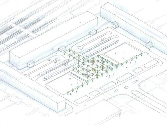 An artists' impression of the mini forest
