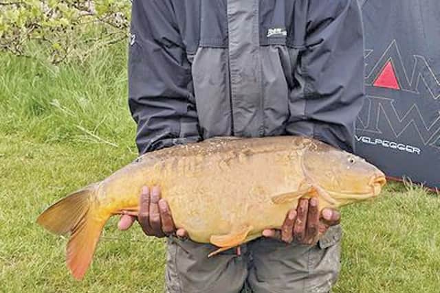 Ritchie Dell's best carp in 40 years