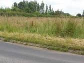 The longer grass is a haven for wildlife at this time of year