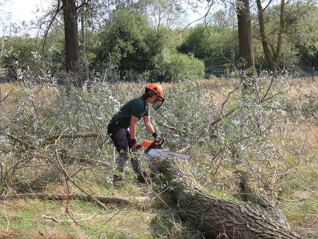 The Parks Trust has several vacancies