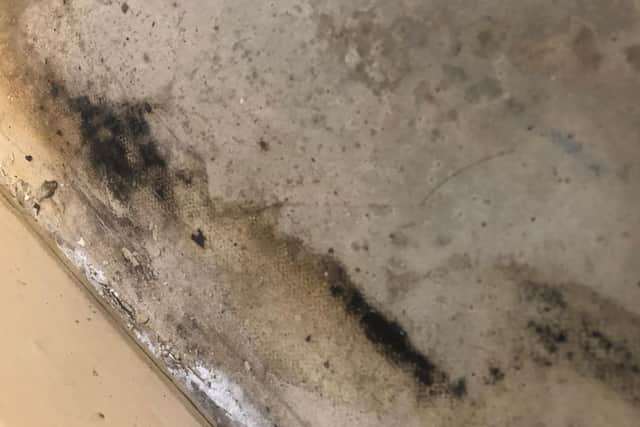 The black mould keeps growing