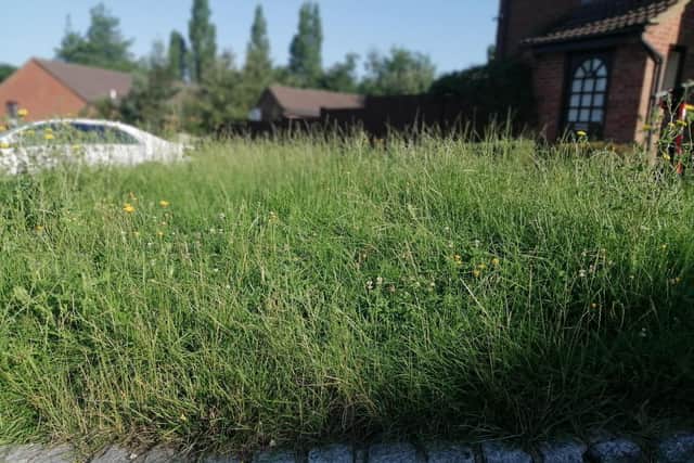 The long grass looks untidy, say some residents on the estate