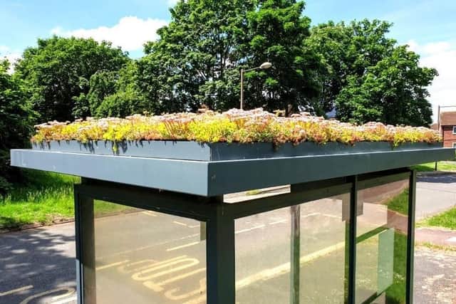 One of the green roofs on an MK bus shelter