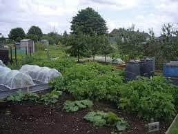The allotments have been part of the town for 75 years