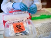 Coronavirus stock image