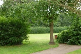 The green space is known as the 'dog field' and is widely used by dog walkers