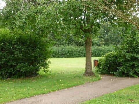 The green space is known as the 'dog field' and is widely used by dog walkers
