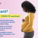 Pregnant mums can have their questions answered at the webinar