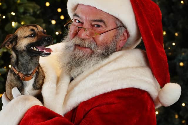 You can even take your dog to meet 'Santa Paws'