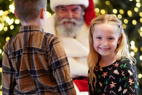 Santa's grotto opens on November 27 at Dobbies