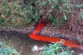 A mysterious red streak into the river near Parsons Close recreation ground last week