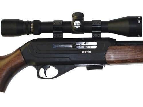 This semi-automatic .22 Calibre rimfire rifle is one of the most dangerous weapons