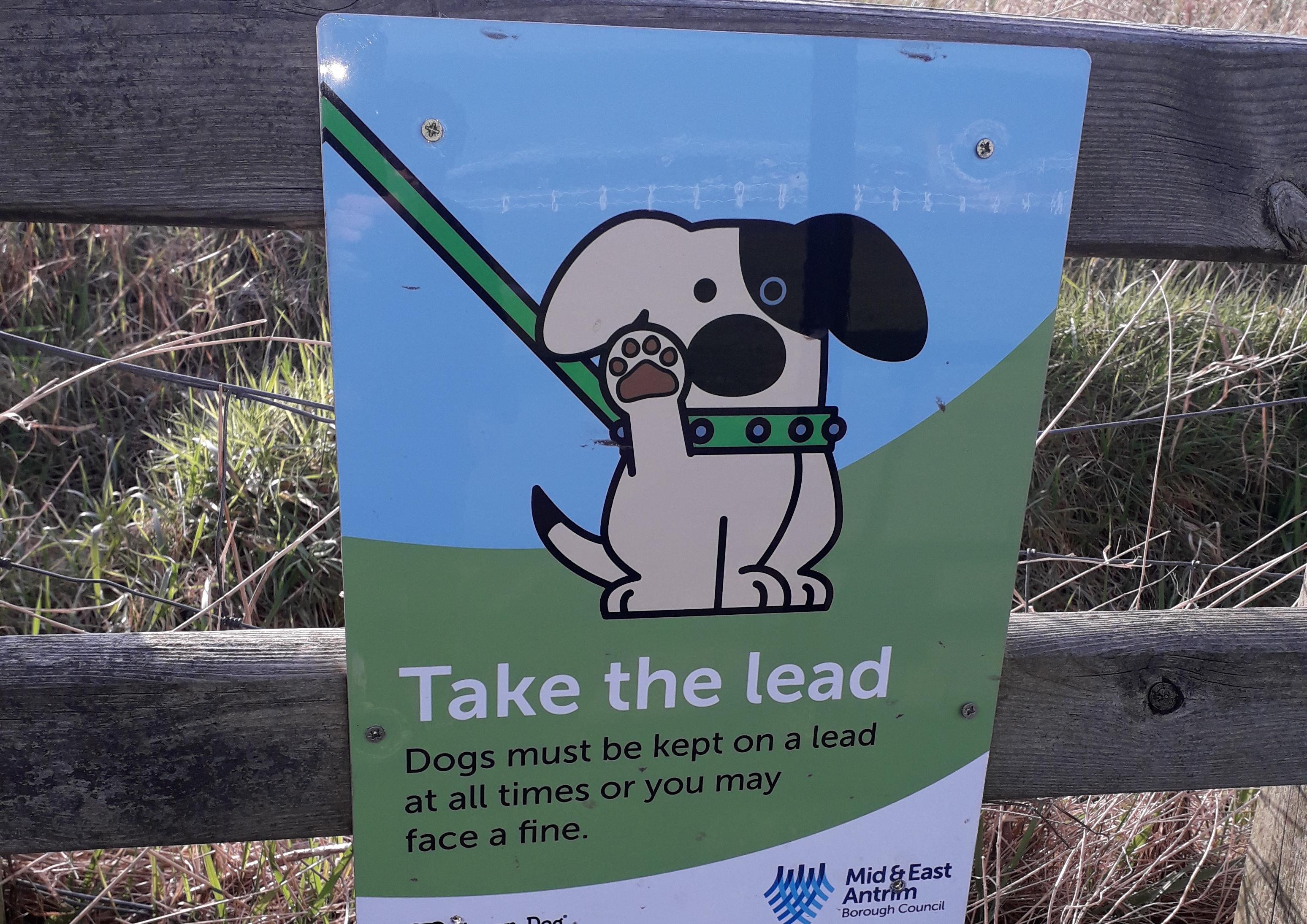 Private enforcement firm part of Mid and East Antrim litter crackdown - Vimarsana News
