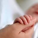 MK's fertility rate is increasing