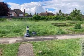 The grass near Rowlands Close in Fenny Stratford
