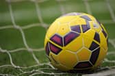 Unionists warn council cuts could "crush grassroots football".