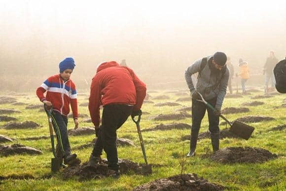 The Woodland Trust is giving away free packs of trees for people to plant in Milton Keynes
