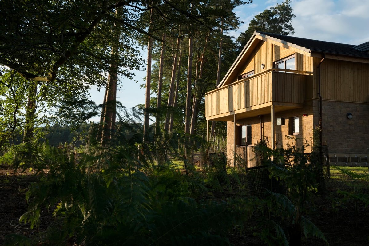 False legs and wedding dresses: Center Parcs reveals items left behind by guests