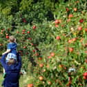 Apple Day at Lotherton Hall, near Leds
