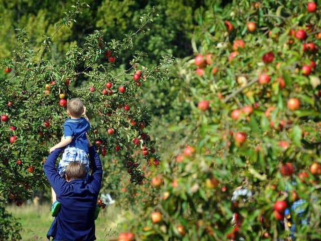 Apple Day at Lotherton Hall, near Leds