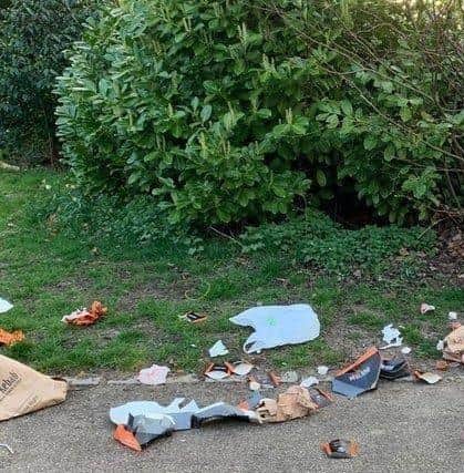 The mum and her small daughter are urging people not to throw litter in Milton Keynes