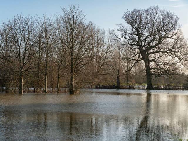 Parks in Milton Keynes are looking more like lakes following the floods - but they're designed to hold water, says The Parks Trust