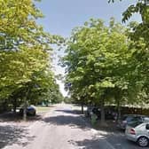 The streets are lined with trees on Coffee Hall estate in Milton Keynes - but residents want them chopped down