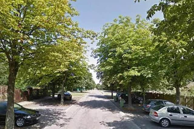 The streets are lined with trees on Coffee Hall estate in Milton Keynes - but residents want them chopped down