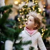 The success of the Christmas Tree Festival has prompted calls for organisers to sign up for this year's event.
