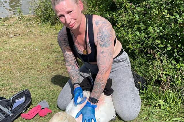 MK Swan Rescue members cleaned the poor swan as best as they could