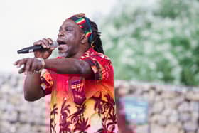 There will be African food, music, dancing, fun and speeches in Campbell Park on Saturday