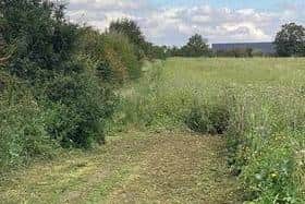 Following complaints, the path was mowed a few days ago to make it wider. But it's still not good enough, say residents on Eaton Leys in Milton Keynes