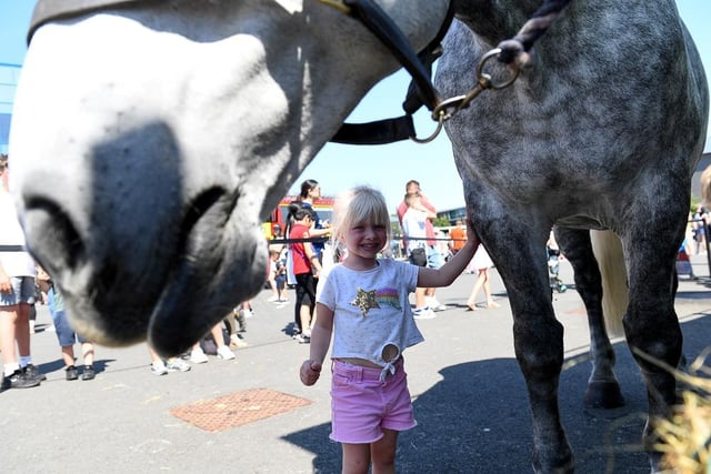 The police horses were very popular