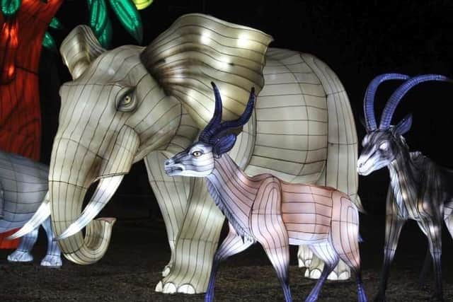 The Land of Lights festival will feature animals and wonders of the natural world