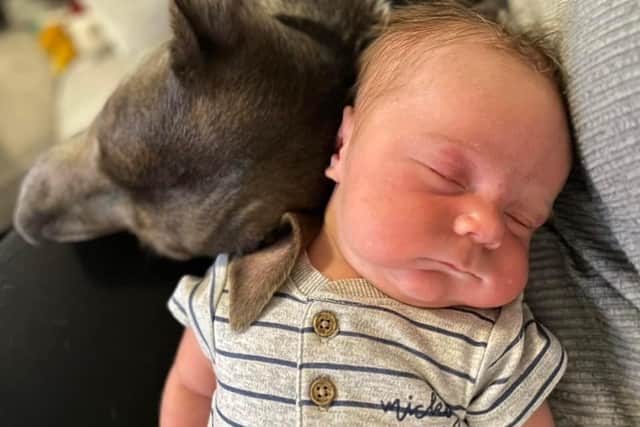Belle doesn't leave baby Olly's side
