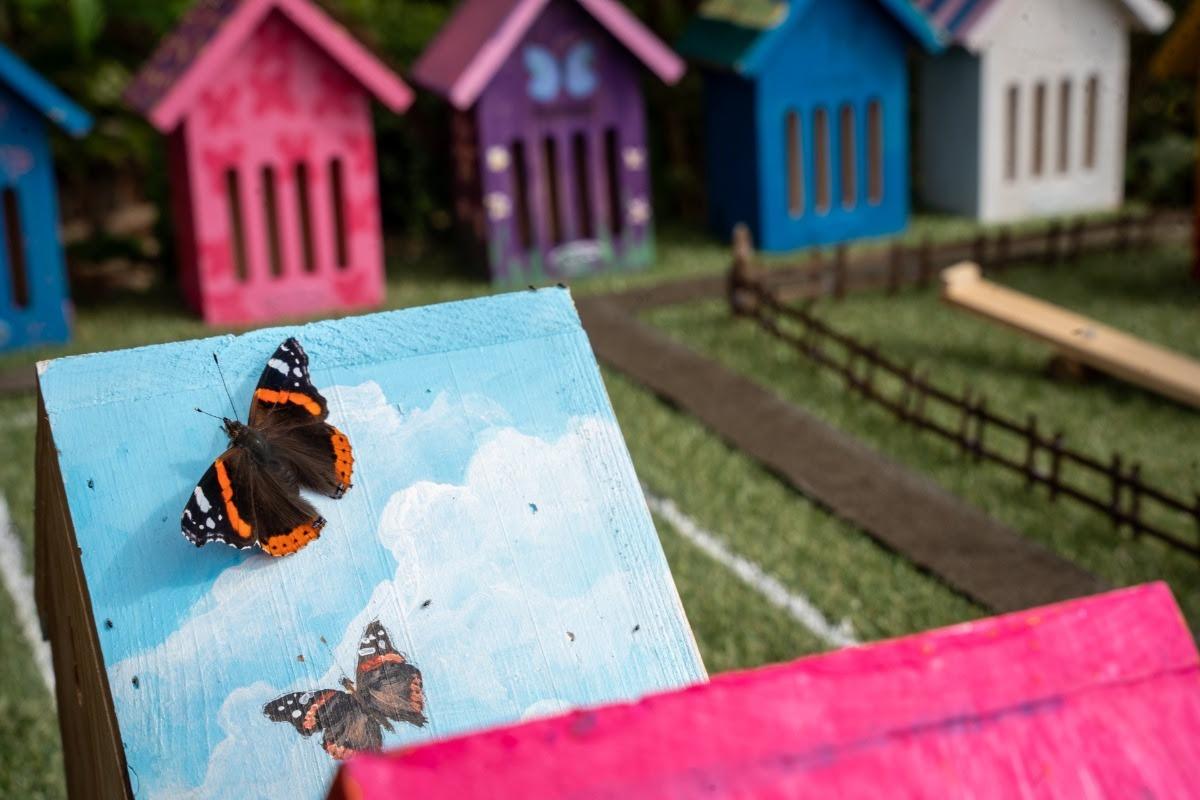 Miniature butterfly 'resort' is shortlisted for prestigious award