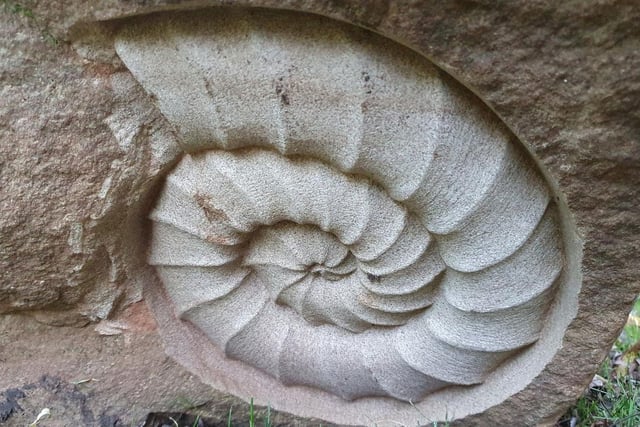 Fossil Hunting can be great fun. This free event is on August 20 and held around of the limestone rocks at Great Linford Manor Park. Hewn from the Great Linford quarry, they are around 170 million years old and the area is a great source for fossils. Book via the Parks Trust website.