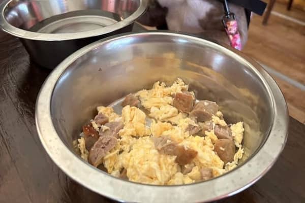 Dogs are loving their special breakfasts. This one chose the scrambled egg and sausage option