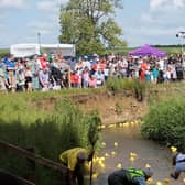 Ducks getting ready to race!