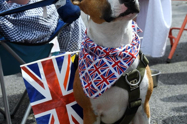 Residents and their pets enjoying the Jubilee celebrations in Wood Street, Woburn Sands