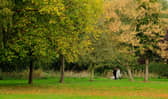 People in Milton Keynes have plenty of access to green spaces in which to walk