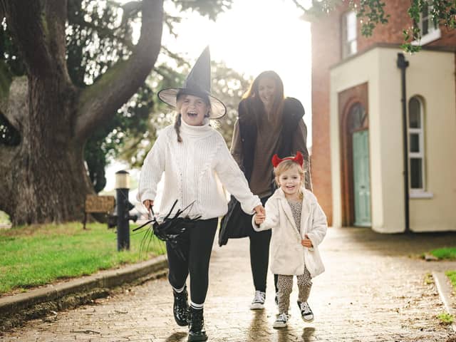 Have a total scream at Milton Keynes Museum this half term (October 28- November 1)