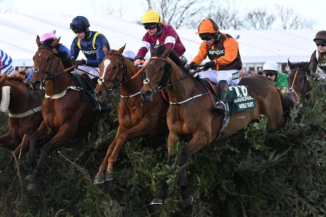 Pictured on his way to a shock 50/1 victory in the race as a 7yo novice two years ago and was also a creditable fourth last season. Shrewd Irish trainer Emmet Mullins (nephew of Willie) has prepared him for a third crack at National glory with a season over hurdles, but he must still carry fully 18lbs more, on official ratings, than 2022 and is burdened by top weight. Champion jockey-elect, Harry Cobden, takes the ride.